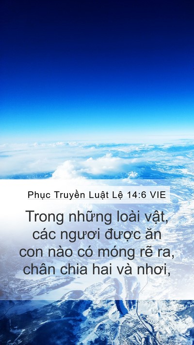 Phục Truyền Luật Lệ 14:6 VIE Mobile Phone Wallpaper - Trong những loài vật, các ngươi được - Mobile Bible Verse Wallpaper