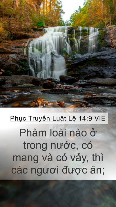 Phục Truyền Luật Lệ 14:9 VIE Mobile Phone Wallpaper - Phàm loài nào ở trong nước, có mang và - Mobile Bible Verse Wallpaper