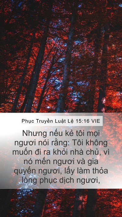 Phục Truyền Luật Lệ 15:16 VIE Mobile Phone Wallpaper - Nhưng nếu kẻ tôi mọi ngươi nói rằng: - Mobile Bible Verse Wallpaper
