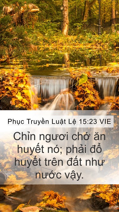 Phục Truyền Luật Lệ 15:23 VIE Bible Verse Image