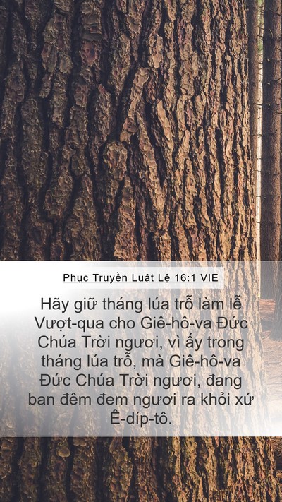 Phục Truyền Luật Lệ 16:1 VIE Bible Verse Image