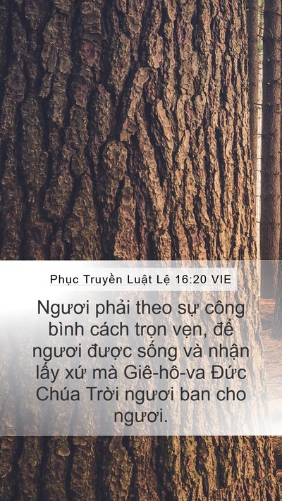 Phục Truyền Luật Lệ 16:20 VIE Mobile Phone Wallpaper - Ngươi phải theo sự công bình cách trọn - Mobile Bible Verse Wallpaper