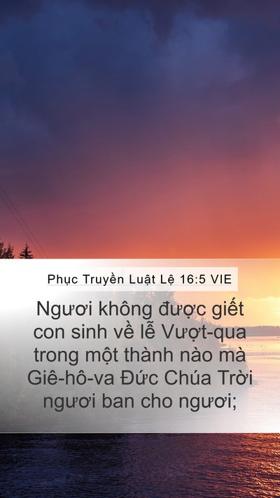 Phục Truyền Luật Lệ 16:5 VIE Mobile Phone Wallpaper - Ngươi không được giết con sinh về lễ - Mobile Bible Verse Wallpaper