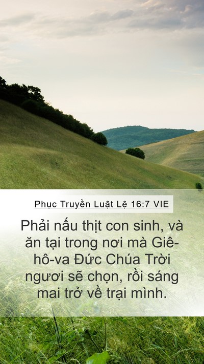 Phục Truyền Luật Lệ 16:7 VIE Bible Verse Image
