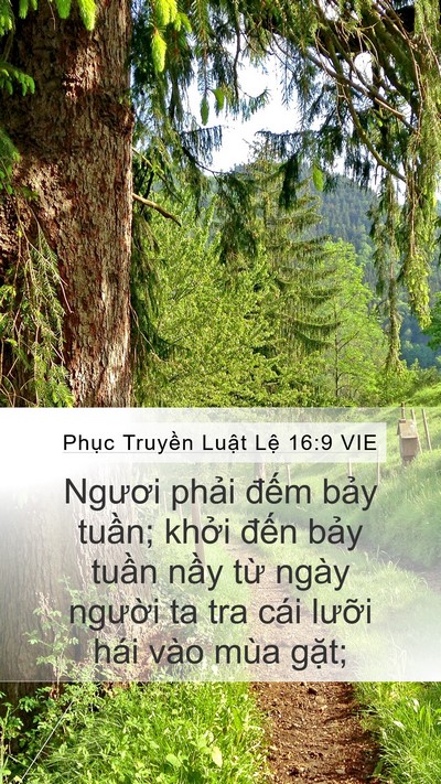 Phục Truyền Luật Lệ 16:9 VIE Bible Verse Image