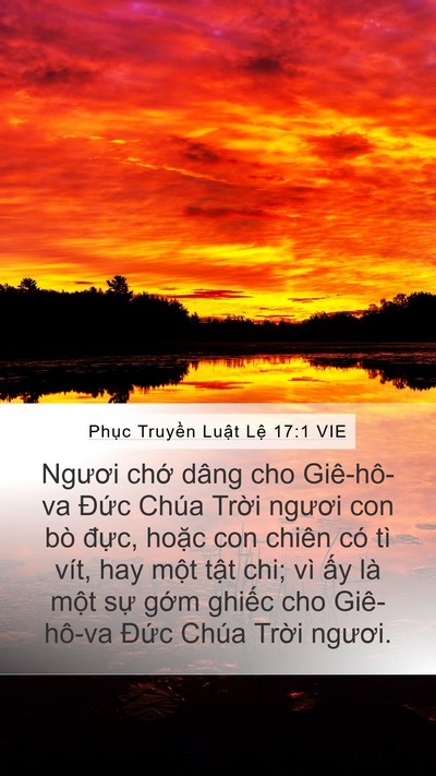 Phục Truyền Luật Lệ 17:1 VIE Bible Verse Image