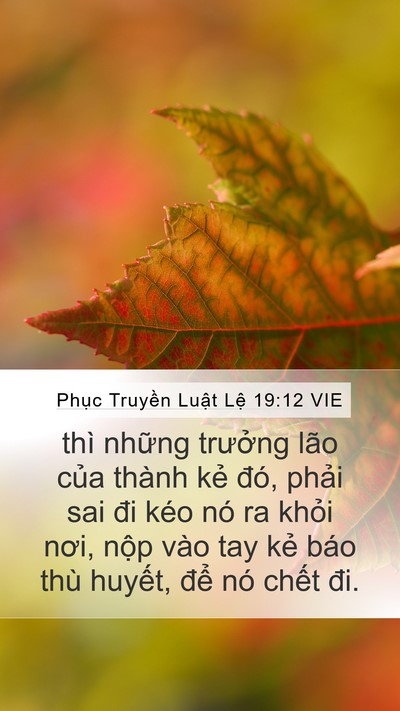 Phục Truyền Luật Lệ 19:12 VIE Bible Verse Image