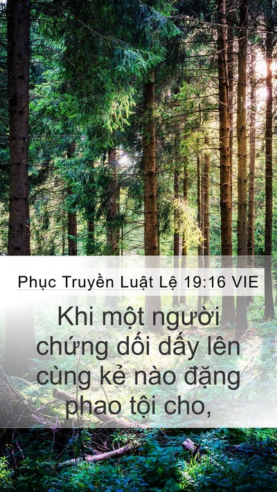Phục Truyền Luật Lệ 19:16 VIE Bible Verse Image