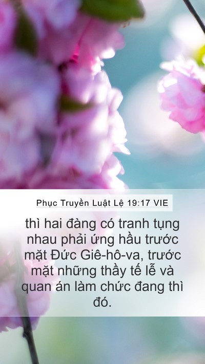 Phục Truyền Luật Lệ 19:17 VIE Bible Verse Image