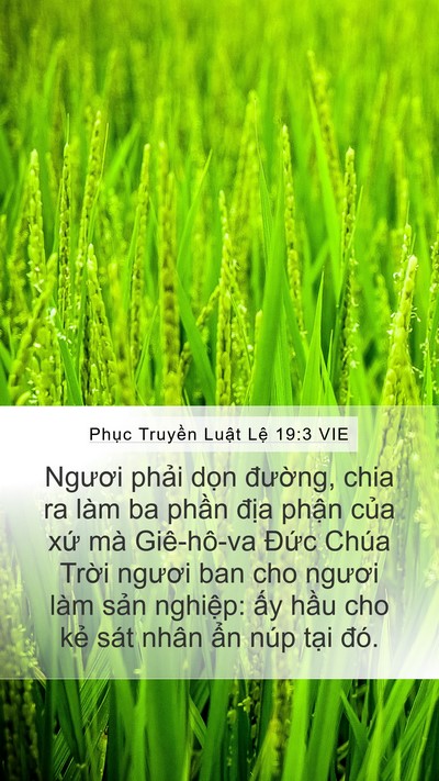 Phục Truyền Luật Lệ 19:3 VIE Mobile Phone Wallpaper - Ngươi phải dọn đường, chia ra làm ba - Mobile Bible Verse Wallpaper