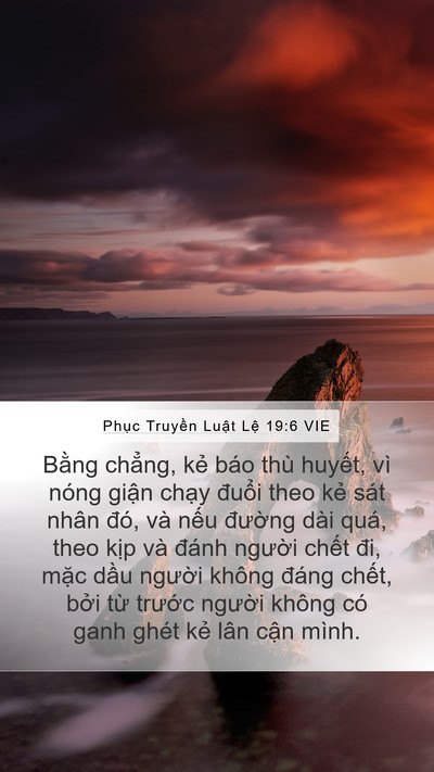 Phục Truyền Luật Lệ 19:6 VIE Bible Verse Image