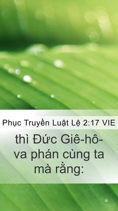 Phục Truyền Luật Lệ 2:17 VIE Mobile Phone Wallpaper - thì Đức Giê-hô-va phán cùng ta mà - Mobile Bible Verse Wallpaper