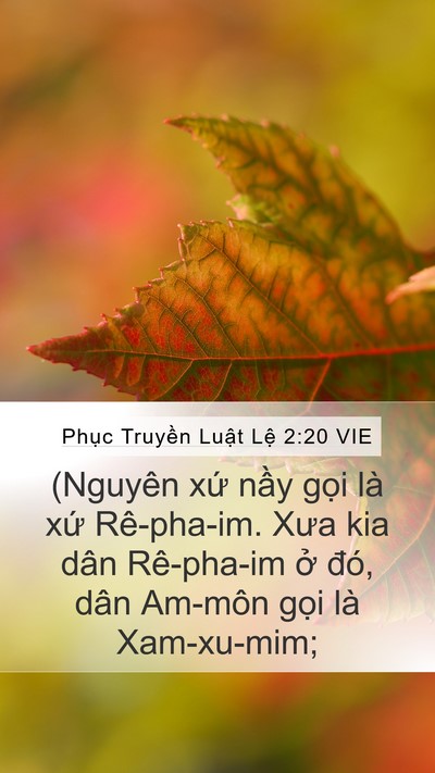 Phục Truyền Luật Lệ 2:20 VIE Bible Verse Image