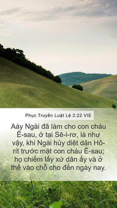 Phục Truyền Luật Lệ 2:22 VIE Bible Verse Image