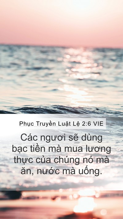 Phục Truyền Luật Lệ 2:6 VIE Bible Verse Image