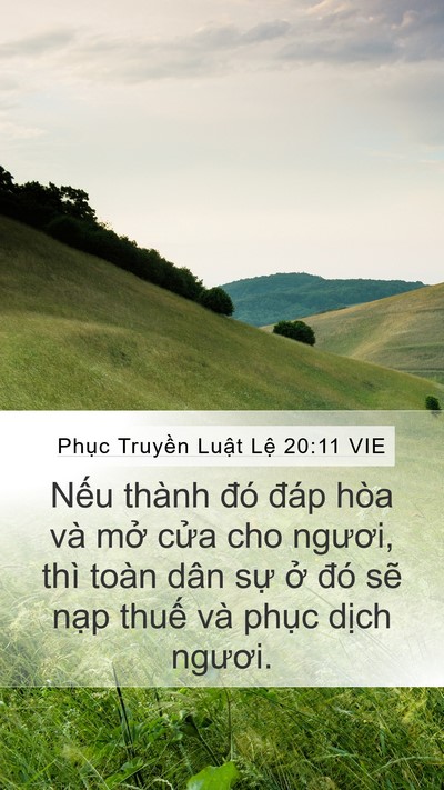 Phục Truyền Luật Lệ 20:11 VIE Bible Verse Image