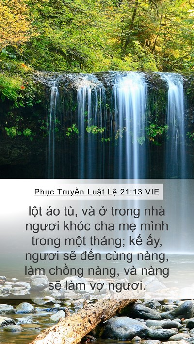 Phục Truyền Luật Lệ 21:13 VIE Bible Verse Image