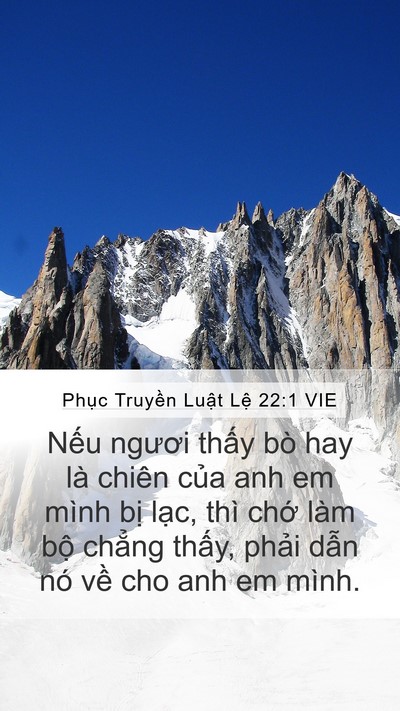 Phục Truyền Luật Lệ 22:1 VIE Bible Verse Image