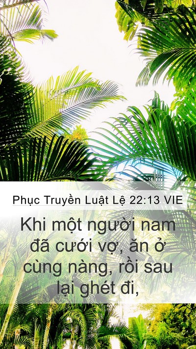 Phục Truyền Luật Lệ 22:13 VIE Mobile Phone Wallpaper - Khi một người nam đã cưới vợ, ăn ở - Mobile Bible Verse Wallpaper