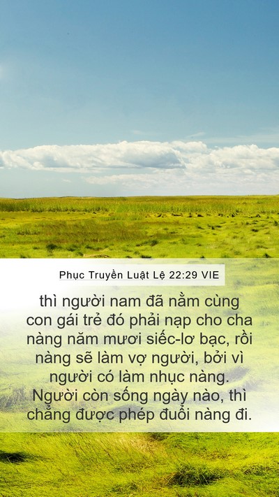 Phục Truyền Luật Lệ 22:29 VIE Bible Verse Image