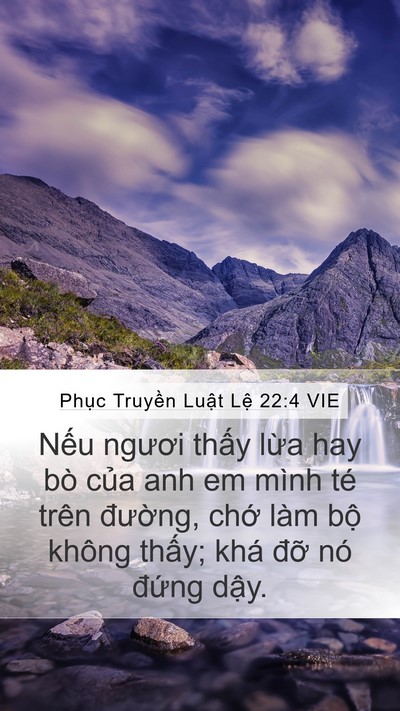Phục Truyền Luật Lệ 22:4 VIE Bible Verse Image