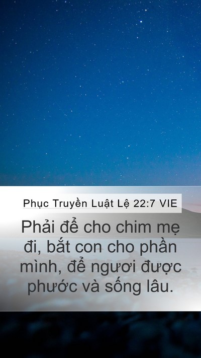 Phục Truyền Luật Lệ 22:7 VIE Bible Verse Image