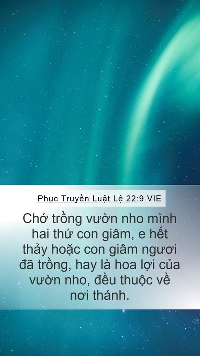 Phục Truyền Luật Lệ 22:9 VIE Mobile Phone Wallpaper - Chớ trồng vườn nho mình hai thứ con - Mobile Bible Verse Wallpaper
