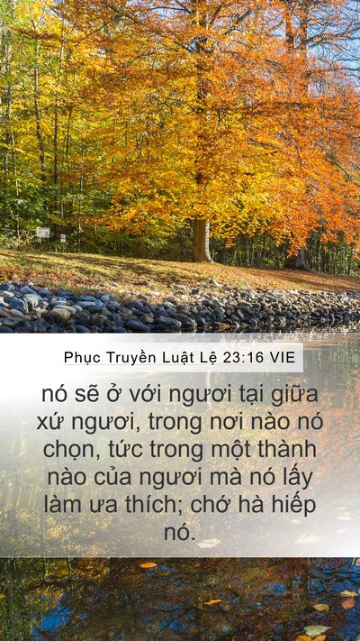 Phục Truyền Luật Lệ 23:16 VIE Mobile Phone Wallpaper - nó sẽ ở với ngươi tại giữa xứ - Mobile Bible Verse Wallpaper