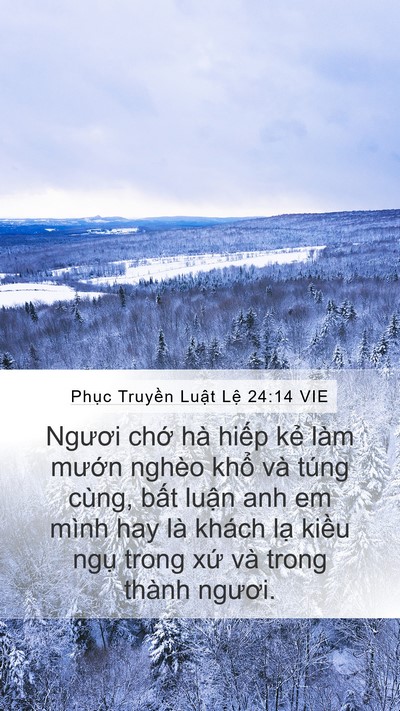 Phục Truyền Luật Lệ 24:14 VIE Bible Verse Image