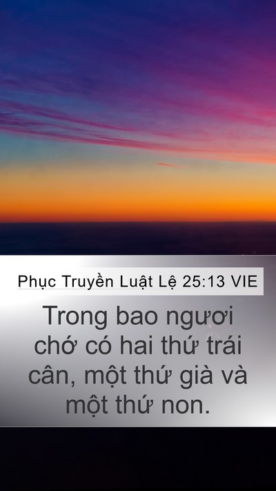Phục Truyền Luật Lệ 25:13 VIE Bible Verse Image