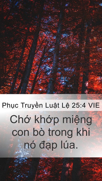 Phục Truyền Luật Lệ 25:4 VIE Bible Verse Image