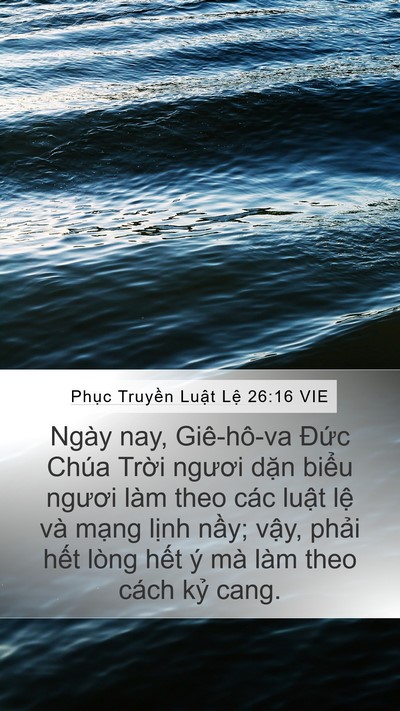 Phục Truyền Luật Lệ 26:16 VIE Bible Verse Image