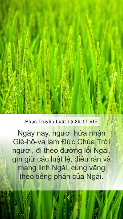 Phục Truyền Luật Lệ 26:17 VIE Bible Verse Image