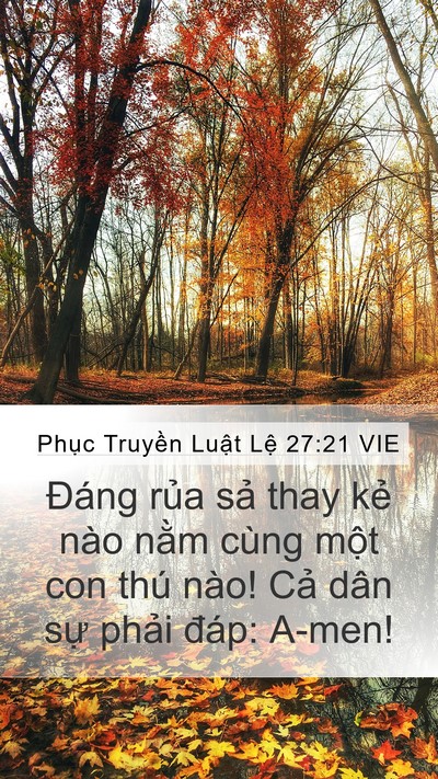Phục Truyền Luật Lệ 27:21 VIE Mobile Phone Wallpaper - Đáng rủa sả thay kẻ nào nằm cùng - Mobile Bible Verse Wallpaper