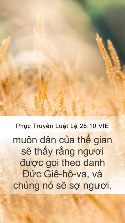 Phục Truyền Luật Lệ 28:10 VIE Bible Verse Image