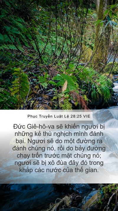 Phục Truyền Luật Lệ 28:25 VIE Bible Verse Image