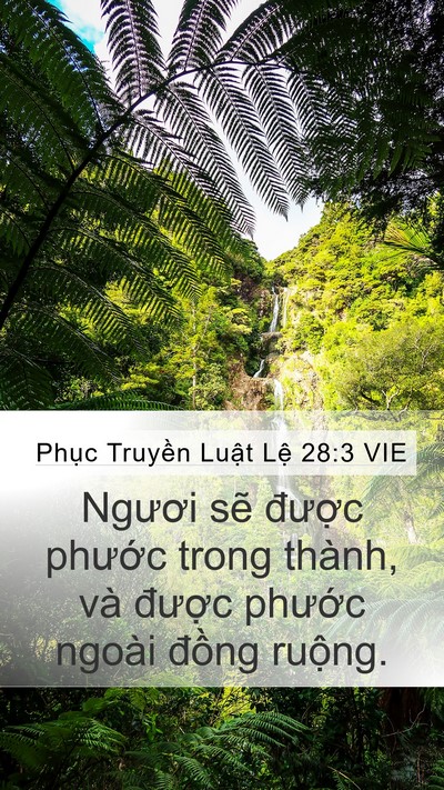 Phục Truyền Luật Lệ 28:3 VIE Bible Verse Image