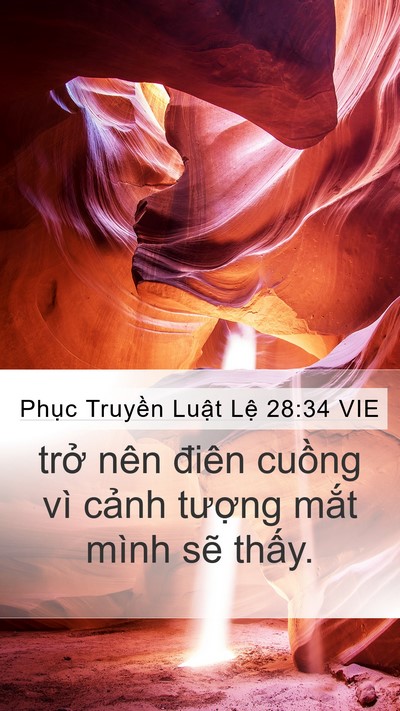 Phục Truyền Luật Lệ 28:34 VIE Bible Verse Image