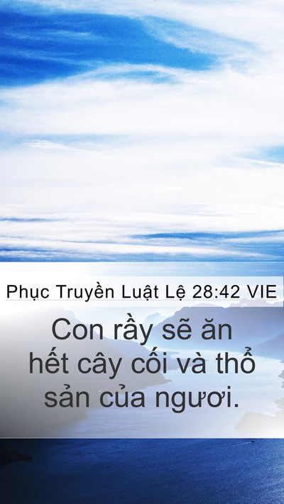Phục Truyền Luật Lệ 28:42 VIE Bible Verse Image