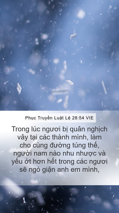 Phục Truyền Luật Lệ 28:54 VIE Bible Verse Image