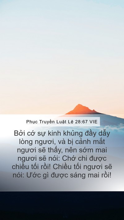 Phục Truyền Luật Lệ 28:67 VIE Mobile Phone Wallpaper - Bởi cớ sự kinh khủng đầy dẫy lòng - Mobile Bible Verse Wallpaper
