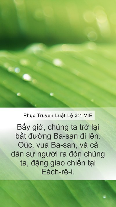 Phục Truyền Luật Lệ 3:1 VIE Bible Verse Image