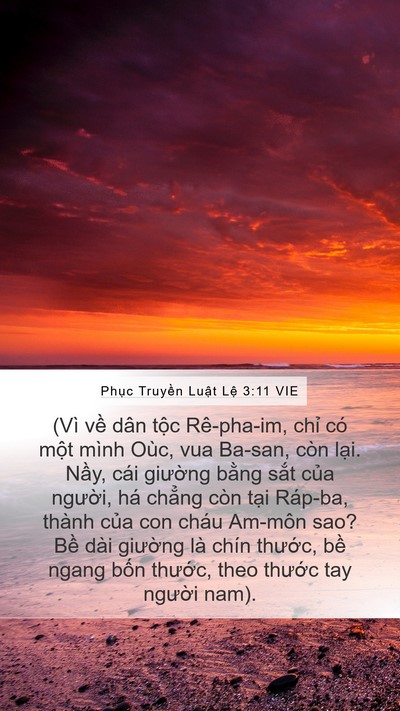 Phục Truyền Luật Lệ 3:11 VIE Bible Verse Image