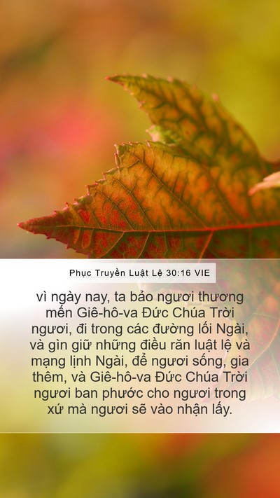 Phục Truyền Luật Lệ 30:16 VIE Bible Verse Image
