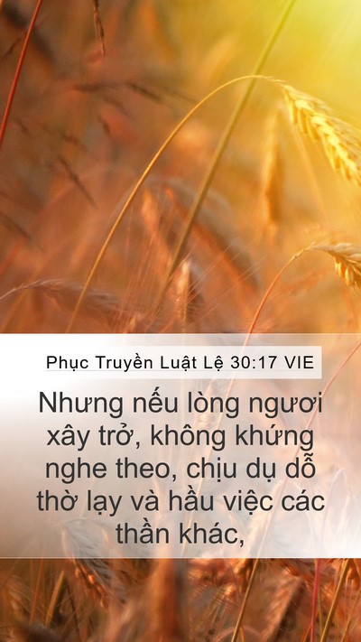 Phục Truyền Luật Lệ 30:17 VIE Bible Verse Image