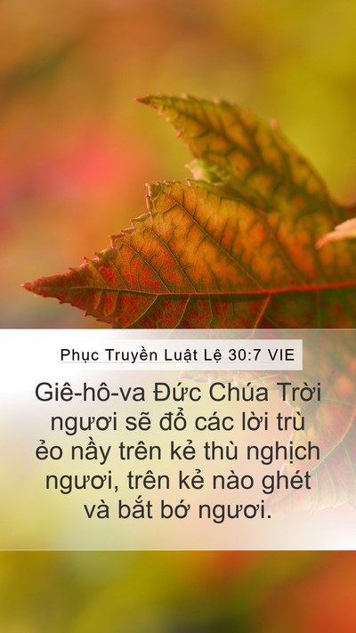 Phục Truyền Luật Lệ 30:7 VIE Mobile Phone Wallpaper - Giê-hô-va Đức Chúa Trời ngươi sẽ - Mobile Bible Verse Wallpaper