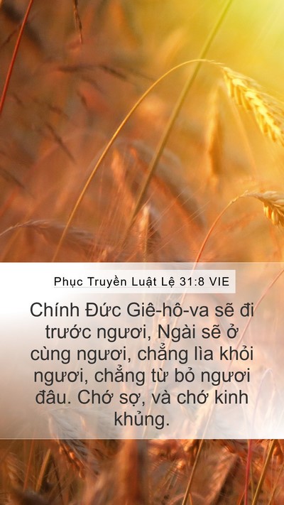 Phục Truyền Luật Lệ 31:8 VIE Bible Verse Image