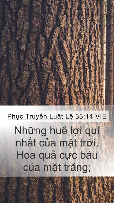 Phục Truyền Luật Lệ 33:14 VIE Bible Verse Image