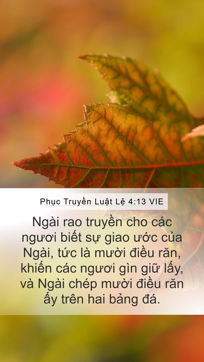 Phục Truyền Luật Lệ 4:13 VIE Bible Verse Image