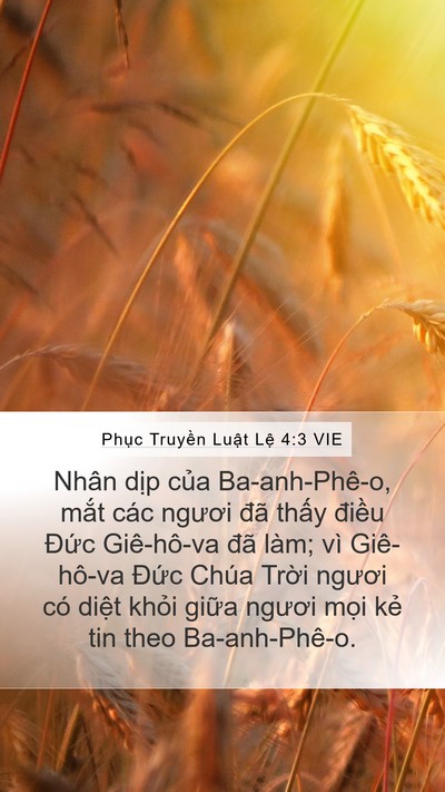 Phục Truyền Luật Lệ 4:3 VIE Bible Verse Image